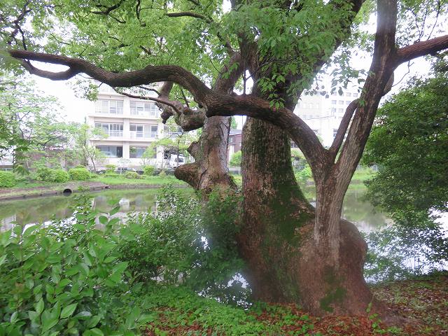 2014/05 佐賀フォーラム | 一般社団法人コンクリートメンテナンス協会