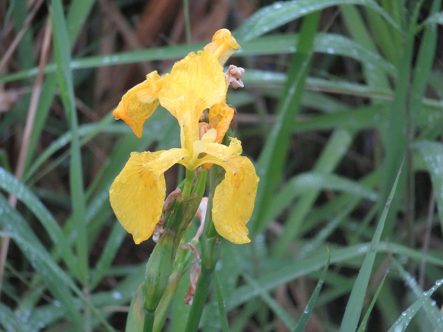 2014/05 佐賀フォーラム | 一般社団法人コンクリートメンテナンス協会