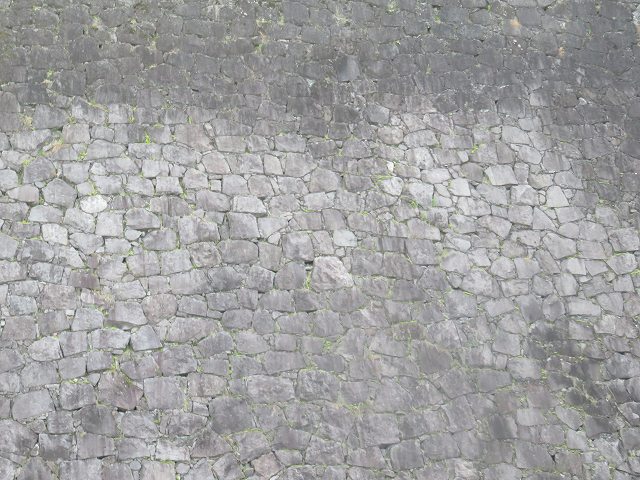 2014/05 熊本フォーラム | 一般社団法人コンクリートメンテナンス協会