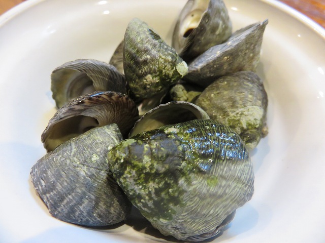 爪楊枝で食べました | 2014/05 大分フォーラム | 一般社団法人コンクリートメンテナンス協会